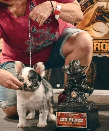 CUSTOM DOG SHOW LEADS