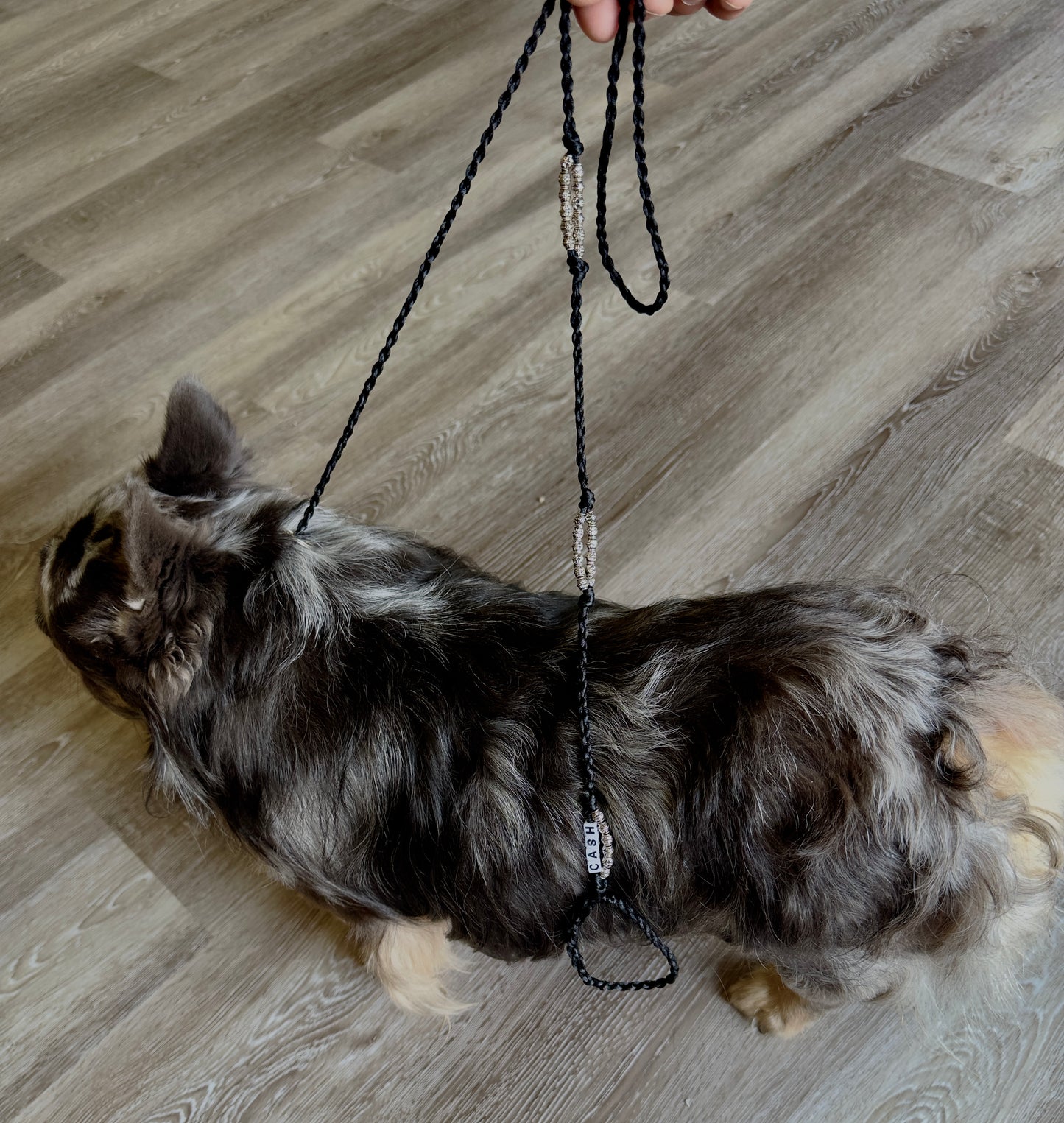 CUSTOM DOG SHOW LEAD