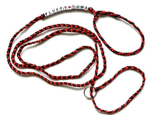 CUSTOM SHOW LEADS