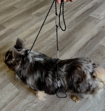 CUSTOM DOG SHOW LEAD