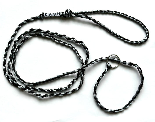 CUSTOM DOG SHOW LEAD